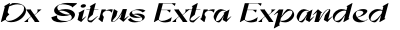 Dx Sitrus Extra Expanded Italic